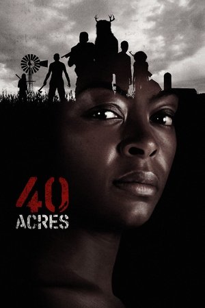 40 Acres en streaming
