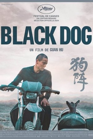 Black Dog en streaming